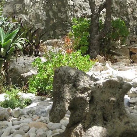 Casa Veneri 4* 살베